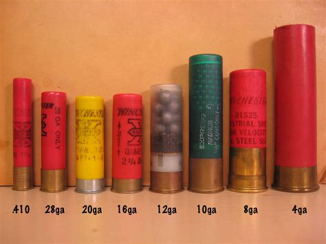 22 Calibe. . 65mm shotgun shells